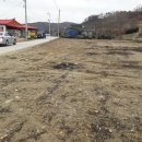 엄정면사무소 이미지