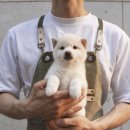 루이몽 - 서초구 신반포로41길 10 | 루이몽