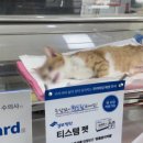 늘사랑양한방동물병원