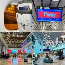 대화국제여행사 | 인천 다낭 티웨이 TW013편 탑승후기 다낭공항 패스트트랙 해야할까?