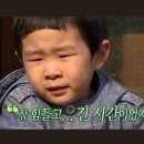 찡어찡어