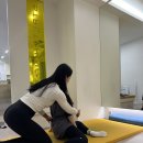 독립문체육관 이미지