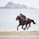 큰대광목장 이미지