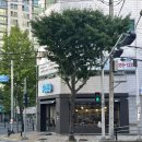 예가애견 | 대구 북구 침산동 카페 피틀리(Fitly)｜침산동 애견 동반 카페｜피틀리 주차