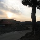 선창농장 이미지