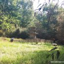 봉남리 삼층석탑 이미지