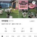 아따멍멍 이미지