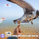 선유도민박 | 군산 선유도 가볼 만한 곳 장자도 호떡마을 카페