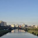 중랑천 제1체육공원 | 퇴근하고 들린 동대문구 중랑천,&#34;브루브루 맥주공장&#34; 맥주 축제 후기