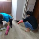 새솔경로당 Daum카페
