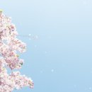 다시;봄1