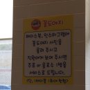 꽃도야지