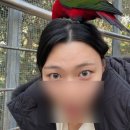 꾸안꾸밈 | [김해 속눈썹펌] 꾸안꾸 틴팅펌 넘예쁨 페이스온 스튜디오 추천!