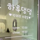 하루댕댕