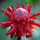 주공부동산뉴스공인중개사사무소 이미지