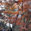 오씨오씨커피로스터스(OCOC COFFEE ROASTERS) | (청계산입구역) 오씨오씨커피로스터스/등산후 커피충전