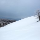 정하목장 이미지