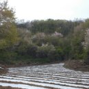 청안농장 이미지