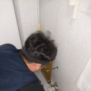 우성동백 이미지