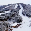 용평실내골프연습장 이미지