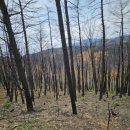 화천3리 이미지