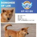 애견클럽 이미지