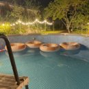 잭큐몬티562 이미지