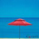 [카메라 안으로 들어온 전시] 갤러리조이 여름 특별 기획전...'Summer Affordable' 이미지