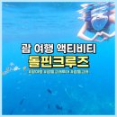 스노클링 | 괌 여행 필수 액티비티 돌고래투어 돌핀크루즈 스노클링 예약, 준비물, 후기