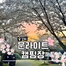 GS25 강화용진진점 | 벚꽃캠핑 명소 강화도 문라이트 캠핑장 명당자리 추천 및 솔직후기