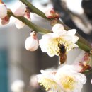 시흥시청 이미지