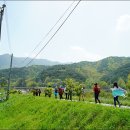 백제가요정읍사오솔길(2코스 내장호 수변데크) 이미지