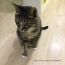 블루포니 게스트하우스 이미지