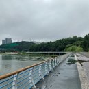 개골농장 이미지