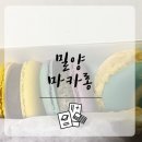 달맛디