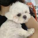 브로콜리의 목욕탕 이미지