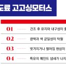 쌍용자동차공업사 이미지