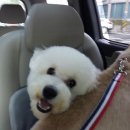 미용하고 가개 이미지