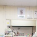 뿌리네 애견샵 이미지