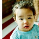 우리집 똥강아쥐 이미지