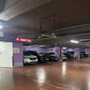 카니발 | 쏘카 “카니발” 내돈내산 후기!?