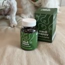 (주)진메디맥스 | 11살 노견 영양제 추천 "메디퍼피" 관절 근육 영양제 급여 후기