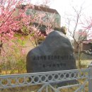 고향의봄길 이미지