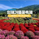 뚱이네밥차 | 10월 강원도 여행 가볼만한곳 인제가을꽃축제 기본정보 및 주차장