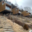 이수미팜베리 이미지