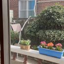 남해군청 인접한 작은 주택 매매 11900만원 이미지