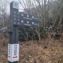 코스오토 이미지