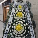 예우농장 | 청년과 함께한 삼육서울병원 추모관 근조화환 이용 후기, 진심을 전하는 품격 있는 장례식화환 서비스와...