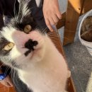 강촌황토찜질방 이미지