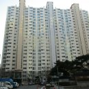명수당약국 Daum카페